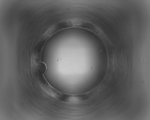 X0000081290218200701111407