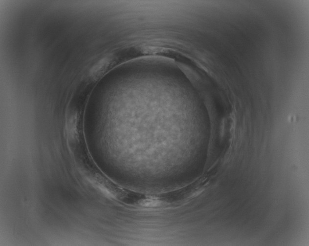 X0000081290219200701111407