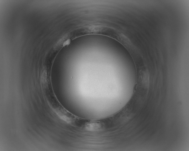 X0000081290220200701111407