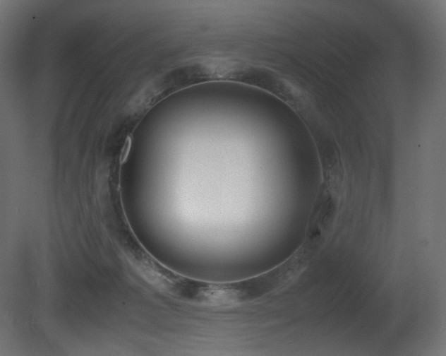X0000081290221200701111407