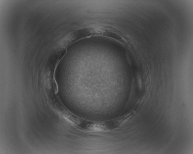 X0000081290223200701111407