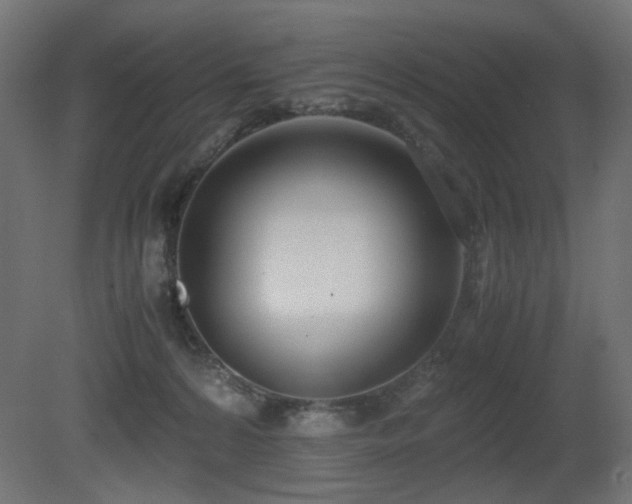 X0000081290224200701111407