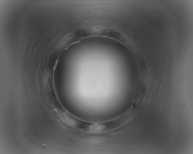 X0000081290225200701111407