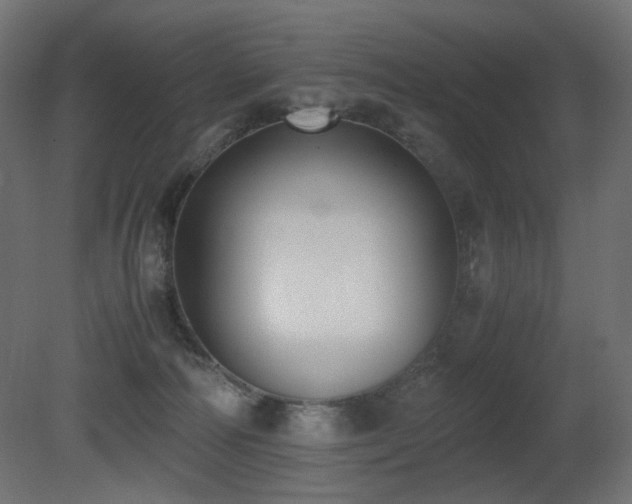 X0000081290226200701111407