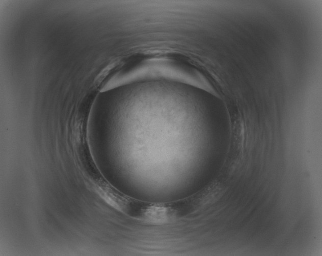 X0000081290227200701111407
