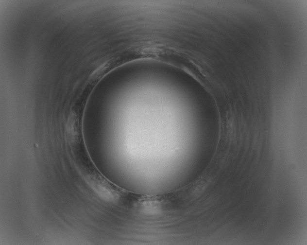 X0000081290228200701111407