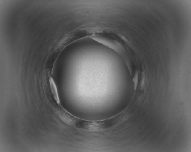 X0000081290229200701111407