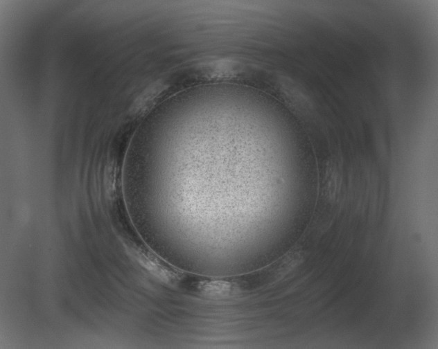 X0000081290230200701111407
