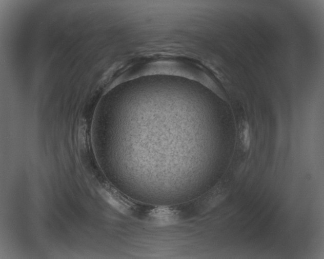 X0000081290231200701111407