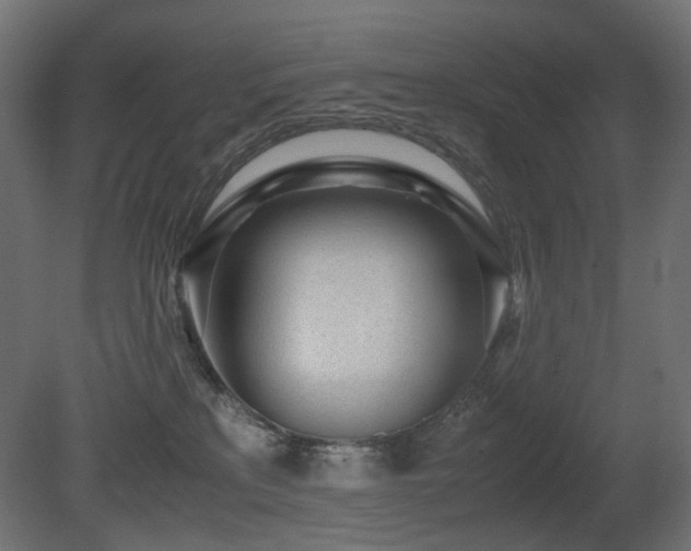 X0000081290233200701111407