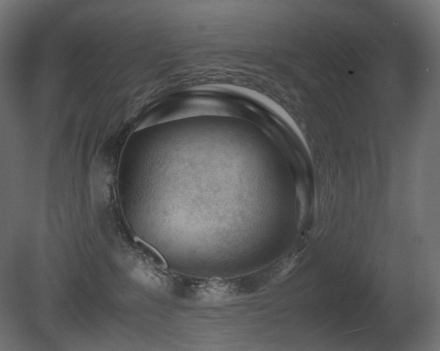 X0000081290235200701111407