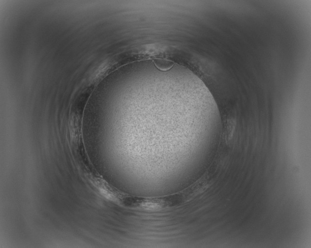 X0000081290236200701111407