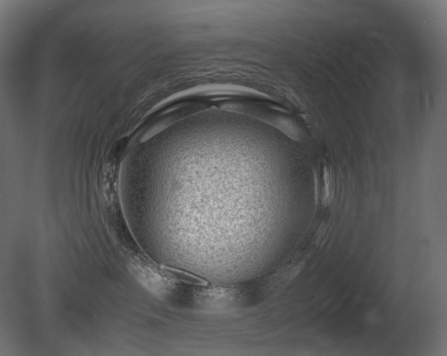 X0000081290237200701111407