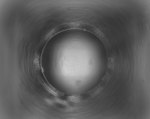 X0000081290238200701111407
