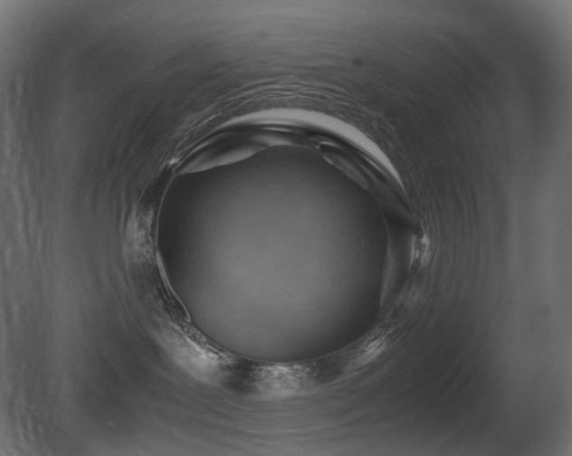 X0000081290239200701111407