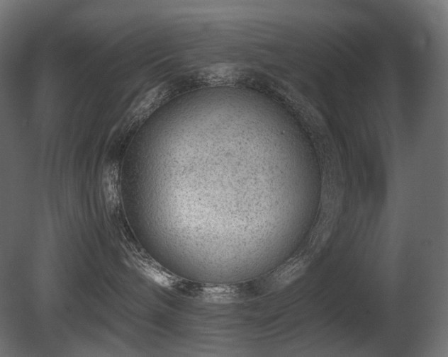 X0000081290240200701111406