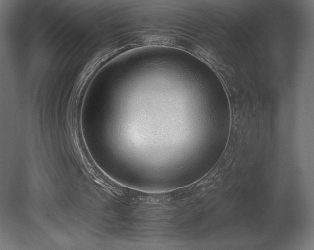 X0000081290241200701111406