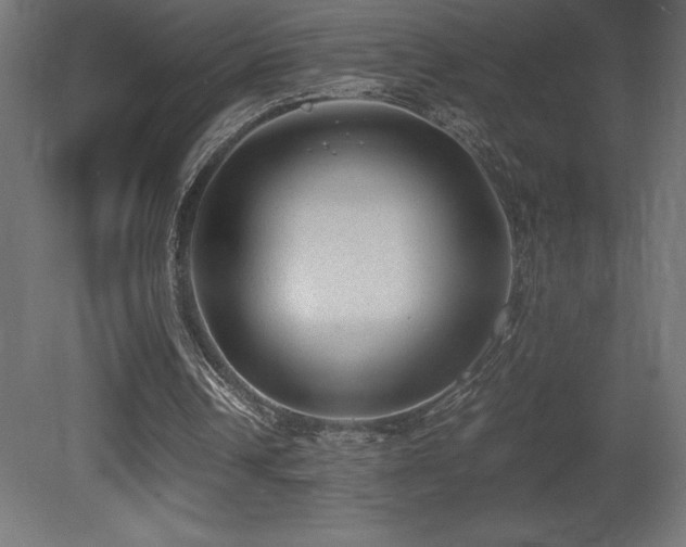 X0000081290242200701111406