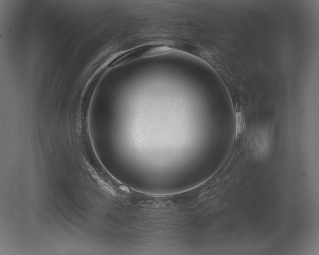 X0000081290243200701111406