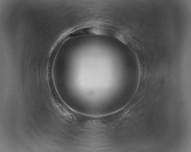 X0000081290244200701111406