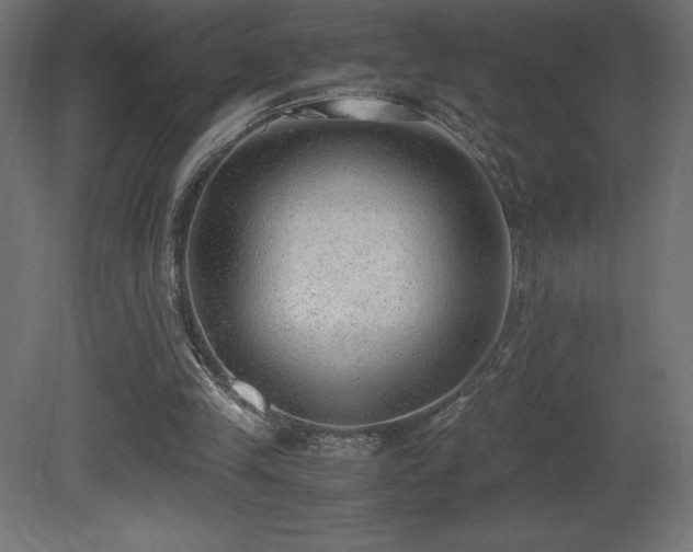 X0000081290245200701111406