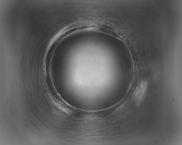X0000081290246200701111406