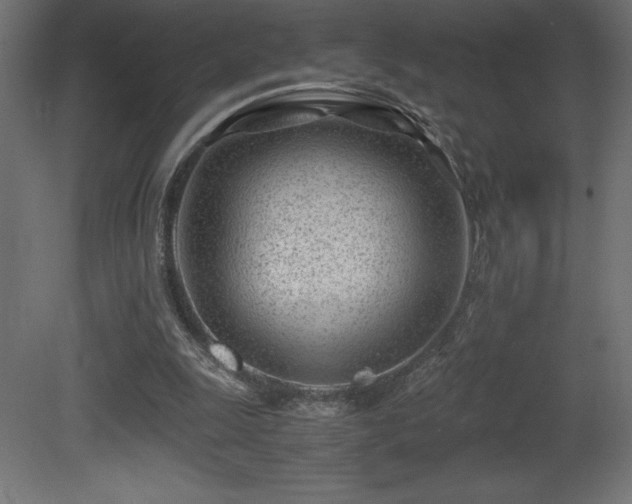 X0000081290247200701111406