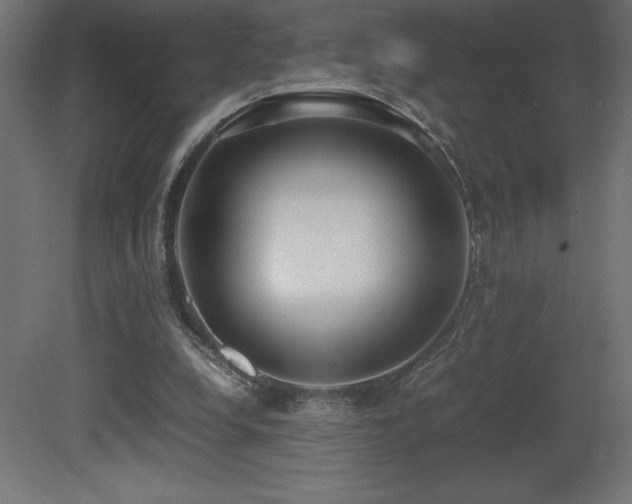 X0000081290248200701111406