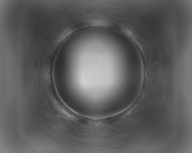 X0000081290249200701111406