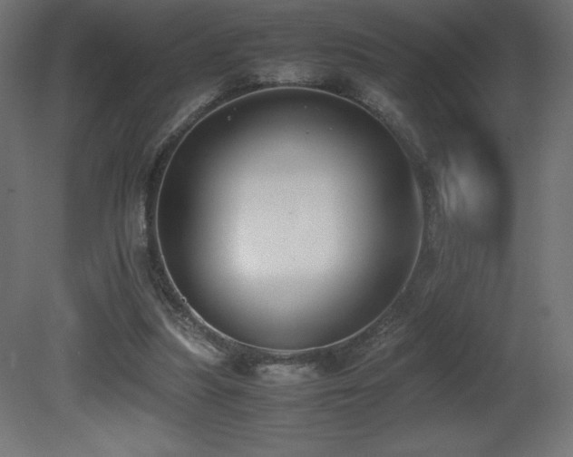 X0000081290251200701111406