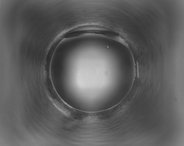 X0000081290252200701111406
