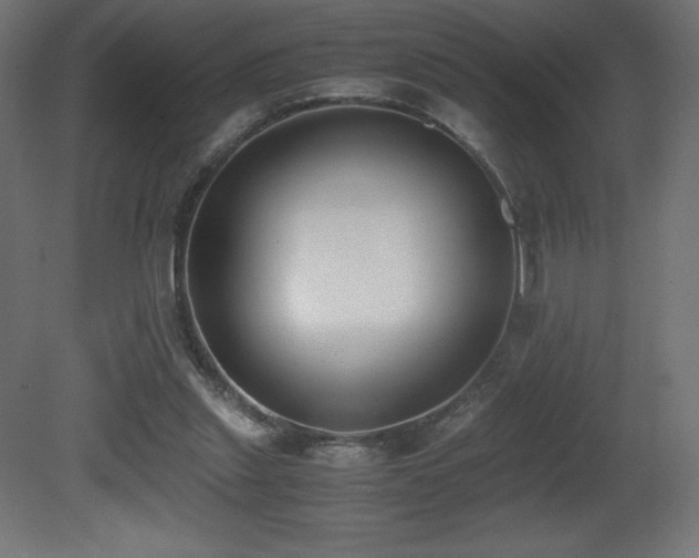 X0000081290253200701111406