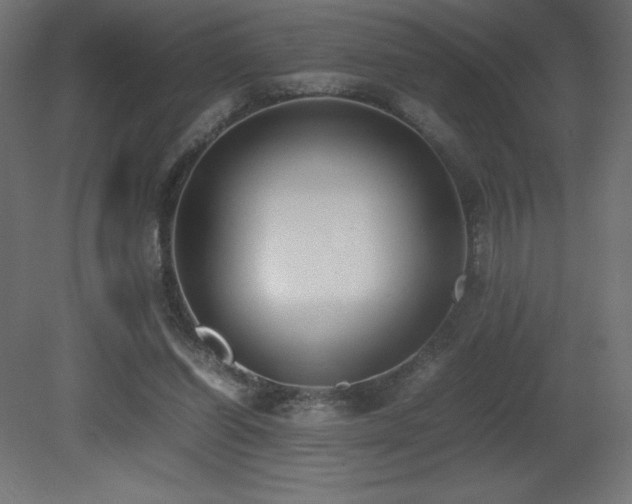X0000081290254200701111406