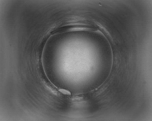 X0000081290257200701111406