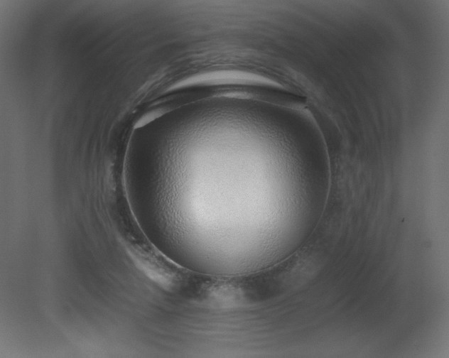 X0000081290258200701111406