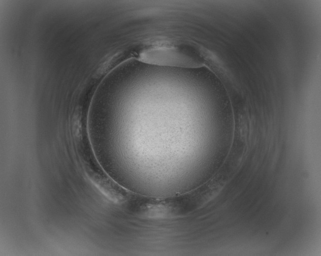 X0000081290259200701111406
