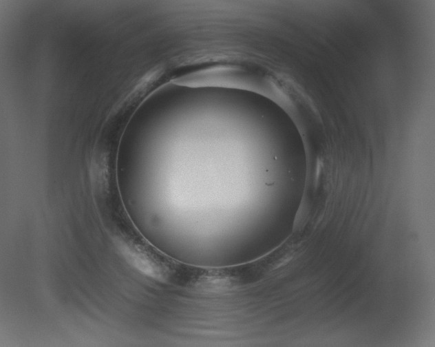 X0000081290260200701111406