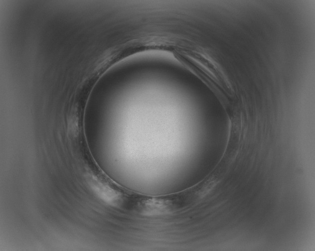 X0000081290261200701111406