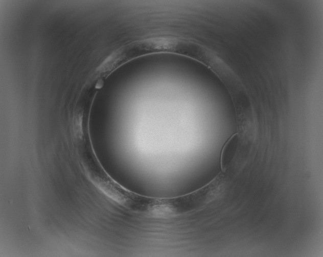 X0000081290262200701111406