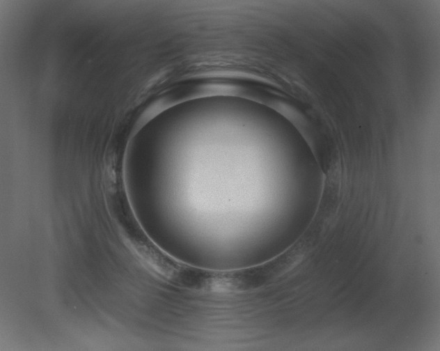 X0000081290264200701111406