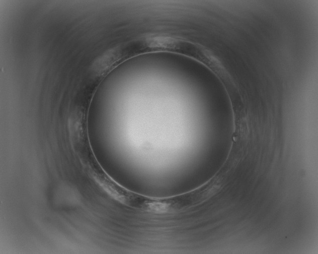 X0000081290265200701111406