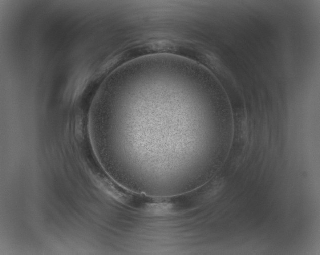 X0000081290266200701111406