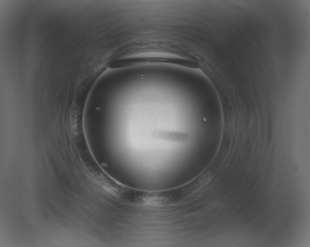 X0000081290268200701111406