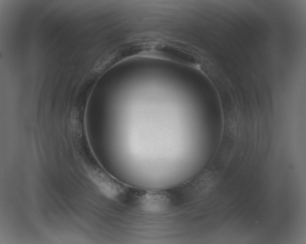 X0000081290270200701111406