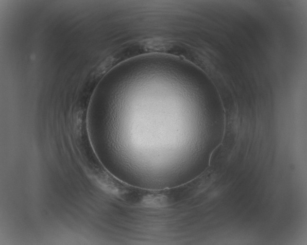 X0000081290271200701111406