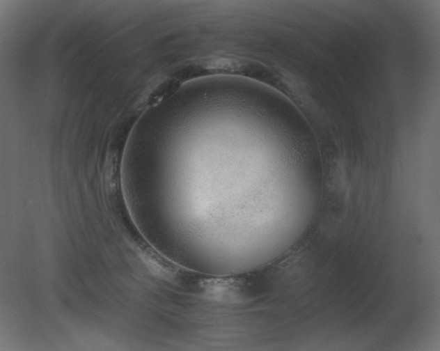 X0000081290273200701111406