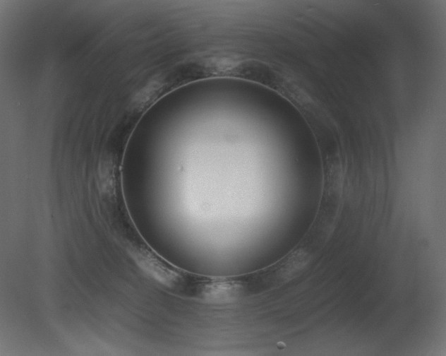 X0000081290274200701111406