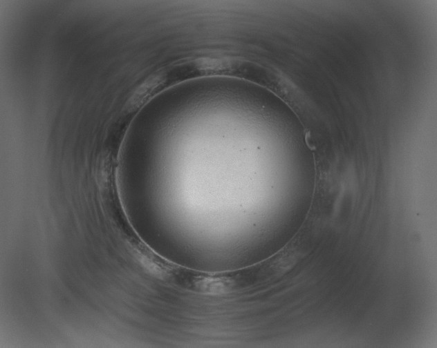 X0000081290277200701111406