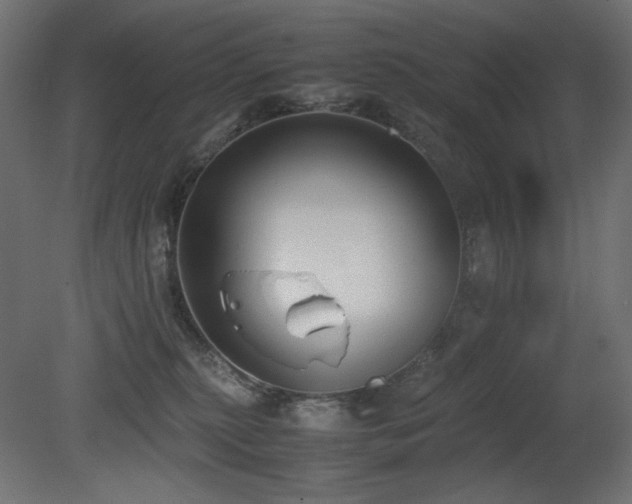 X0000081290279200701111406