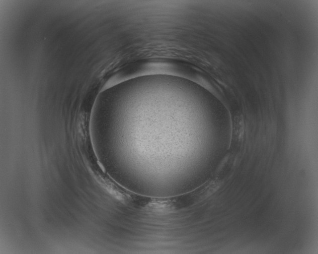 X0000081290280200701111406